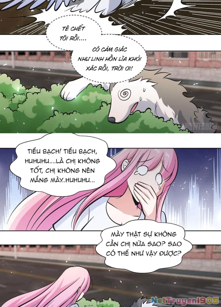 Trọng Sinh Thành Chó Của Nữ Thần Chapter 400 - 11