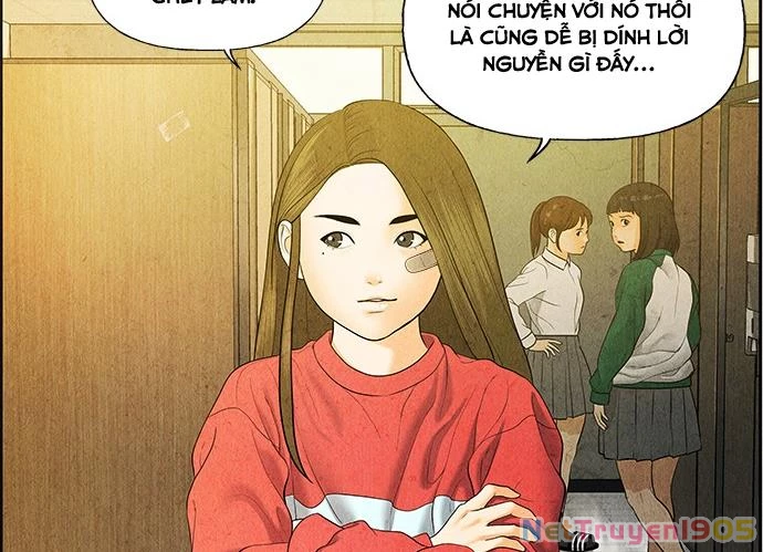 Cửa Hàng Đồ Cổ Tương Lai Chapter 21 - 141
