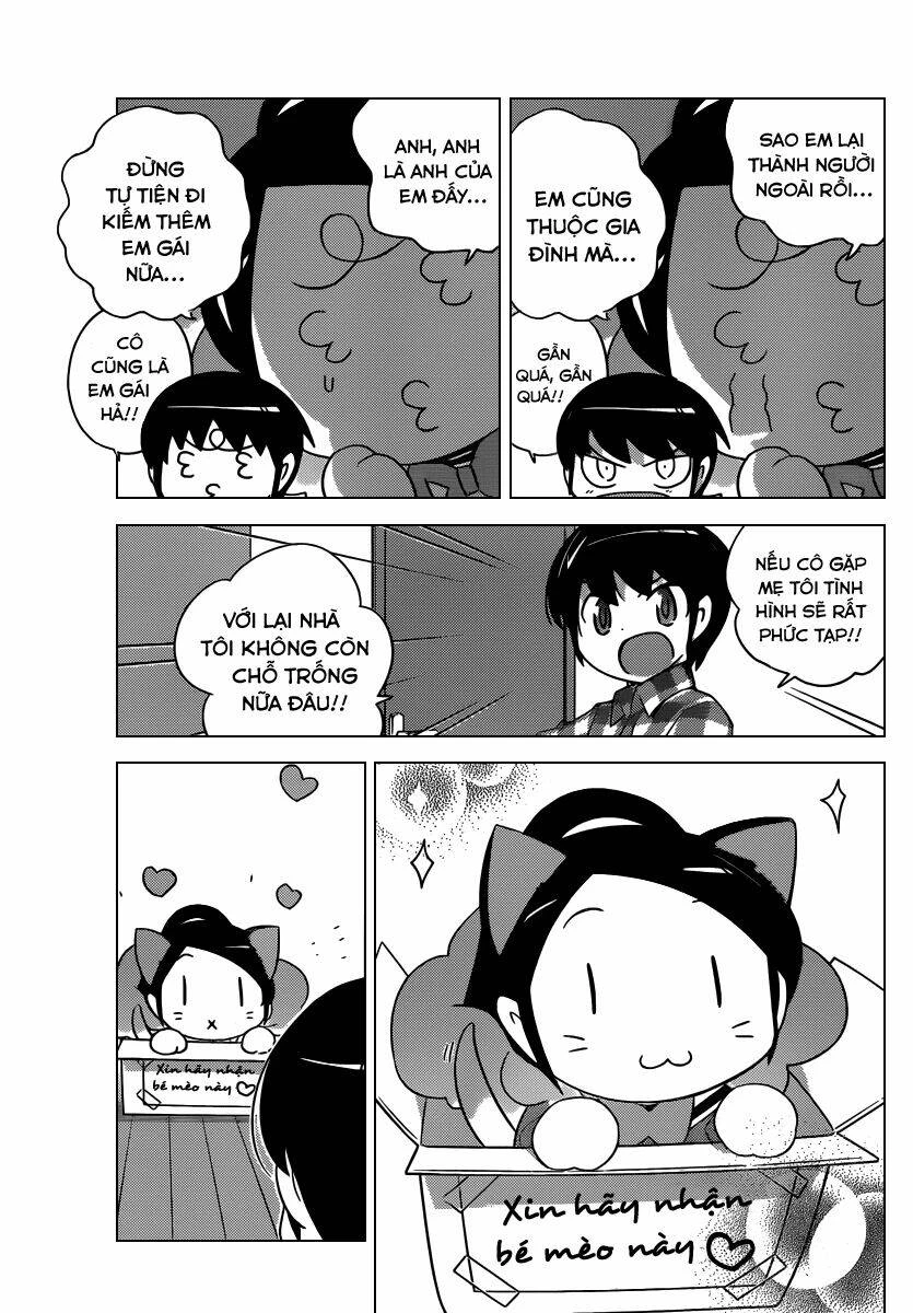 Thế giới chỉ có Thánh thần biết Chapter 202 - 11