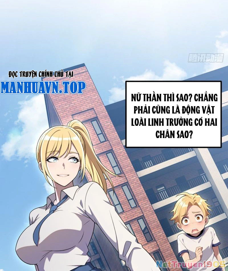 Chung Cực Tùy Ý Thần Hào Hệ Thống Chapter 51 - 33