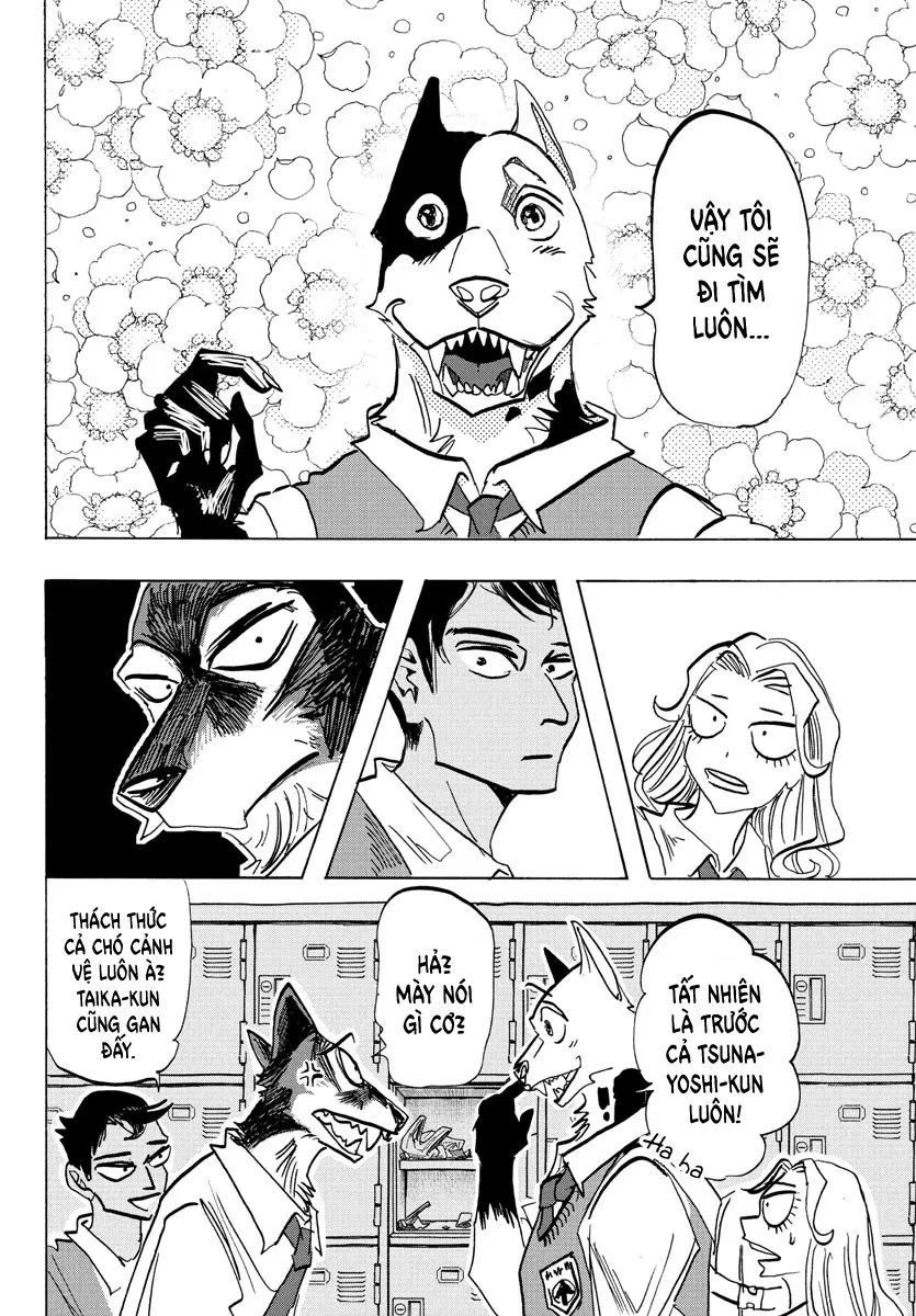 Lý Trí Của Taika Chapter 4 - 13