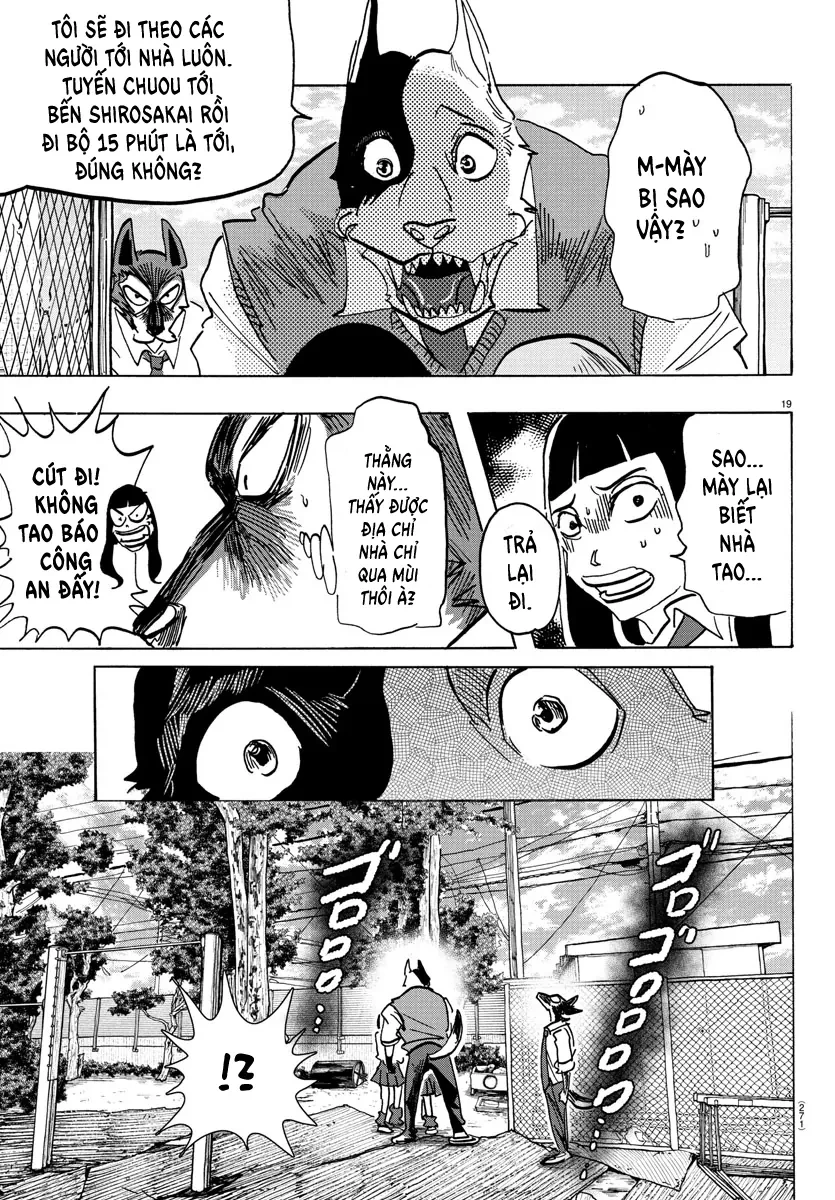 Lý Trí Của Taika Chapter 5 - 17