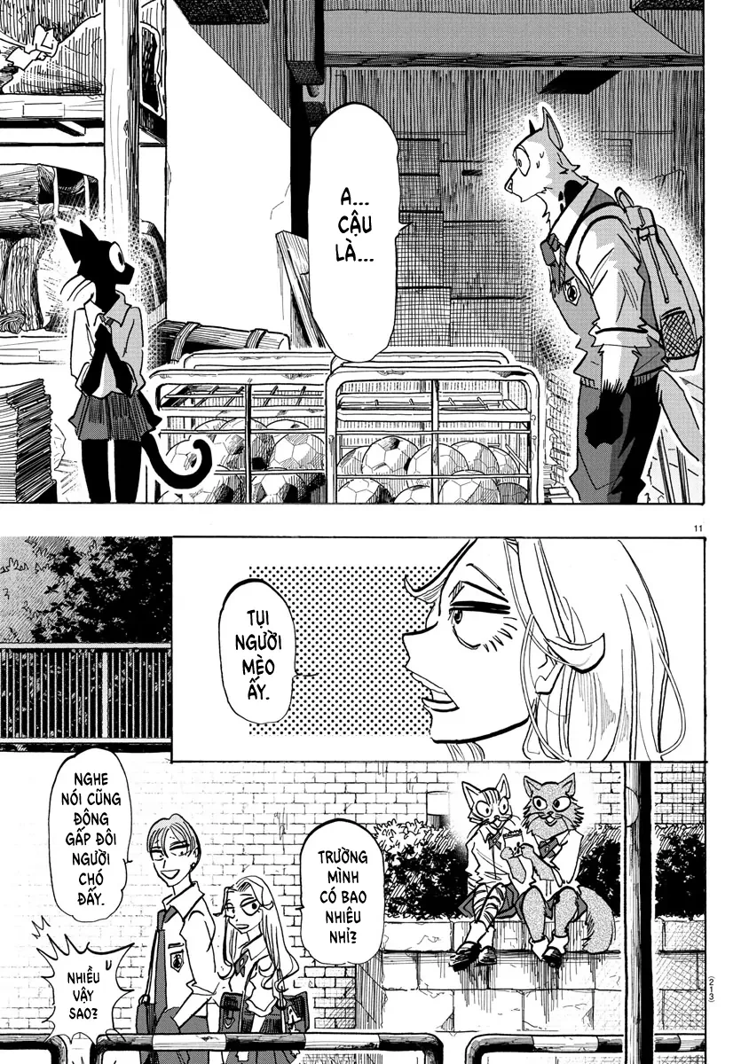 Lý Trí Của Taika Chapter 10 - 10