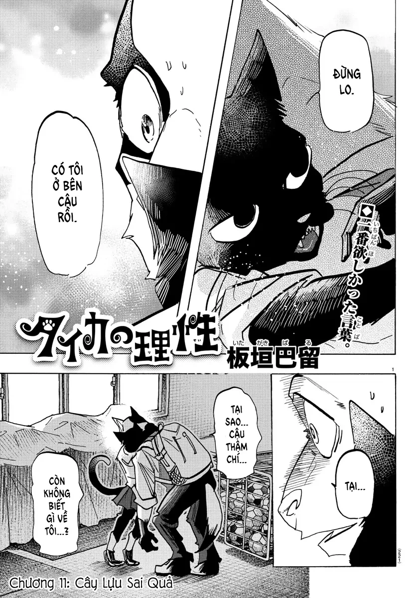 Lý Trí Của Taika Chapter 11 - 1