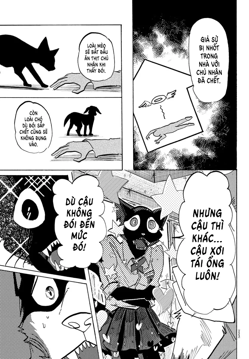 Lý Trí Của Taika Chapter 11 - 3