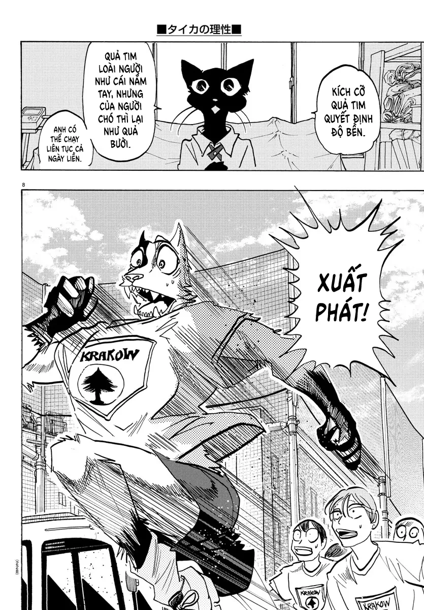 Lý Trí Của Taika Chapter 11 - 8