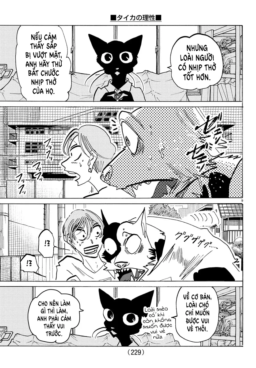Lý Trí Của Taika Chapter 11 - 9