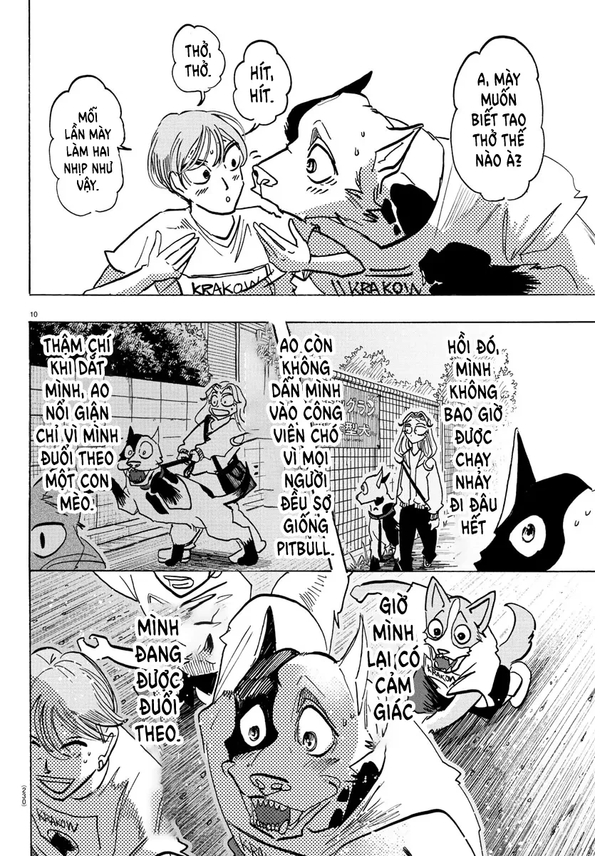 Lý Trí Của Taika Chapter 11 - 10