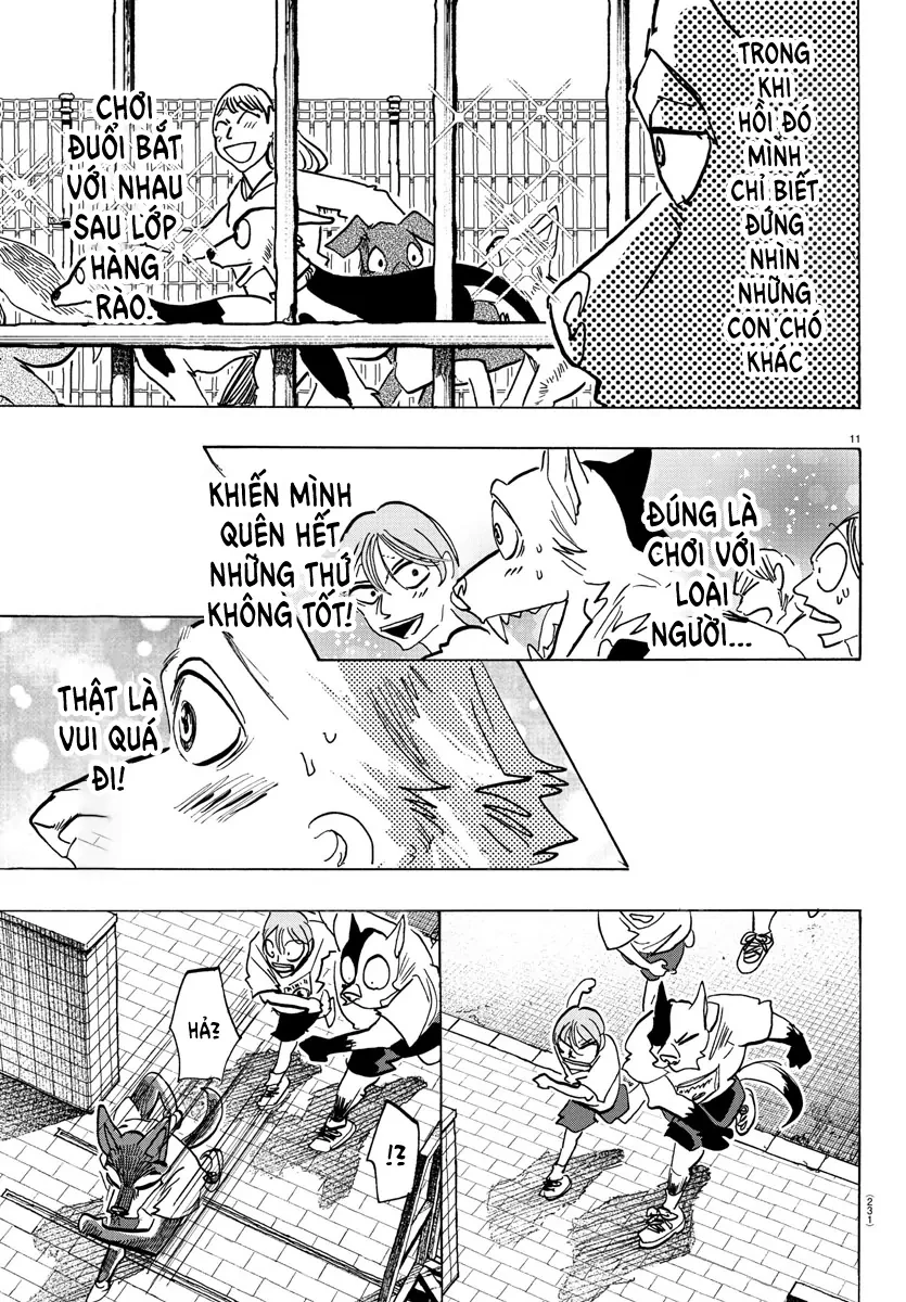Lý Trí Của Taika Chapter 11 - 11