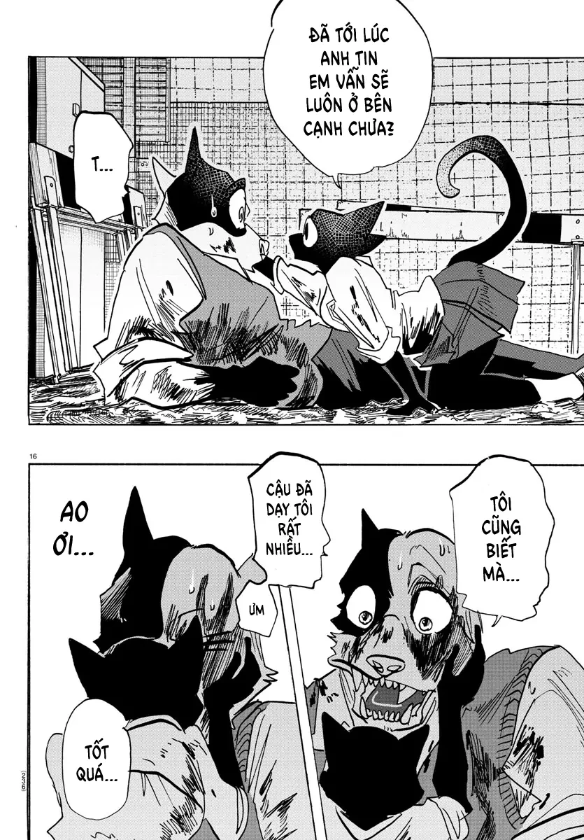 Lý Trí Của Taika Chapter 11 - 16