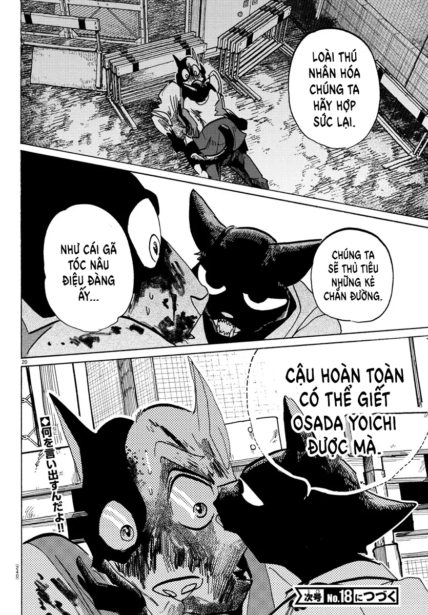 Lý Trí Của Taika Chapter 11 - 19