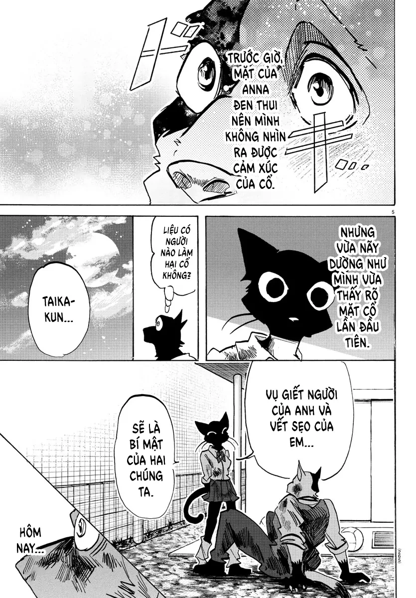 Lý Trí Của Taika Chapter 12 - 5