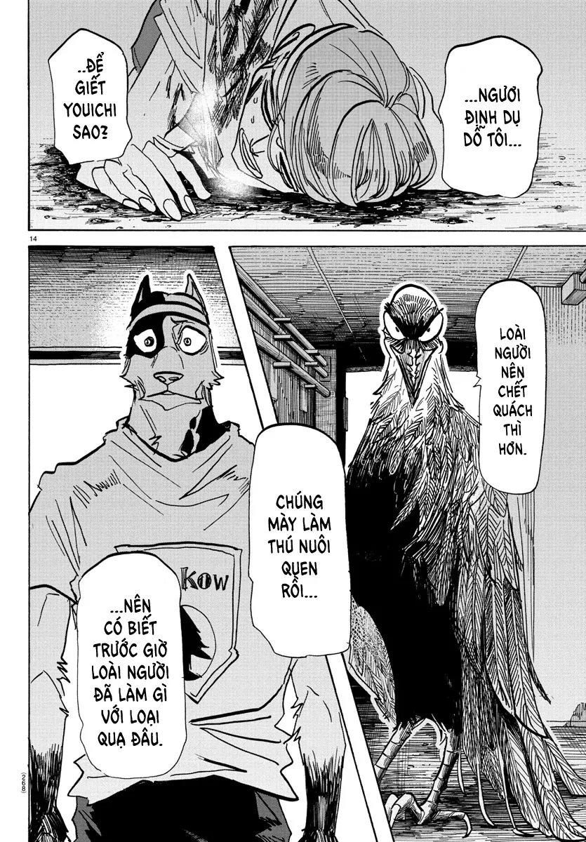 Lý Trí Của Taika Chapter 14 - 12