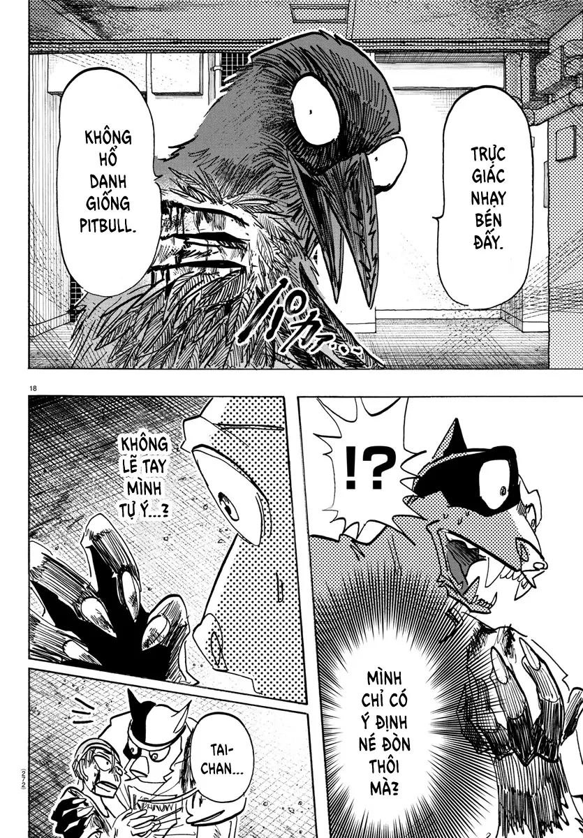 Lý Trí Của Taika Chapter 14 - 15