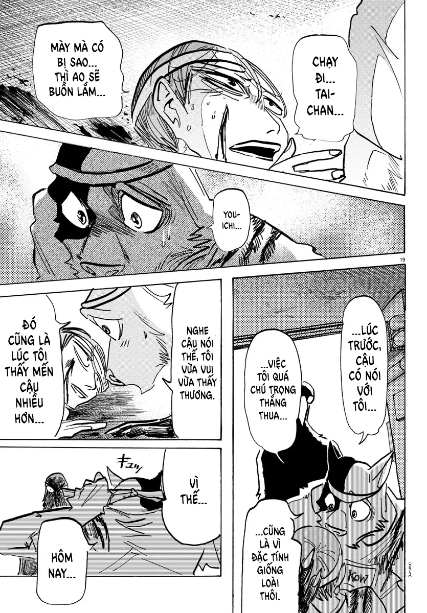 Lý Trí Của Taika Chapter 14 - 16