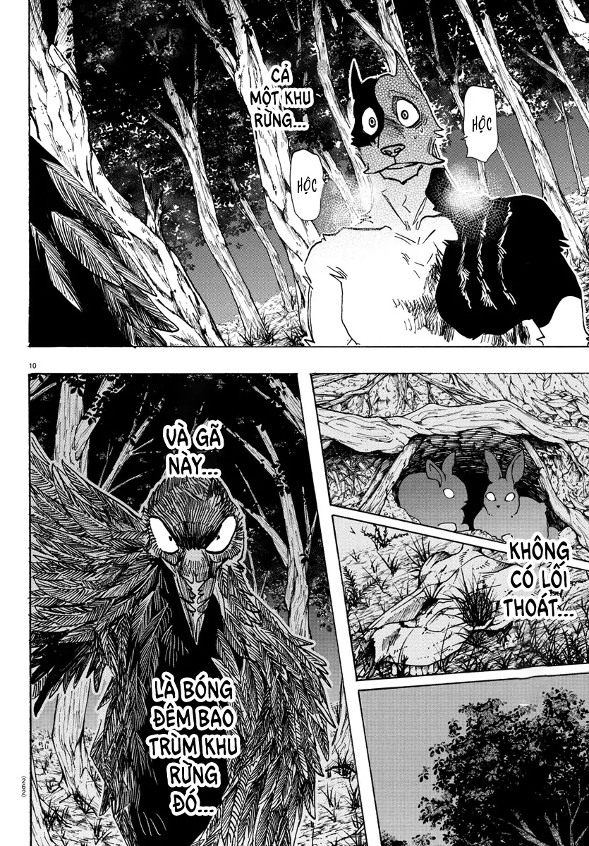 Lý Trí Của Taika Chapter 15 - 9