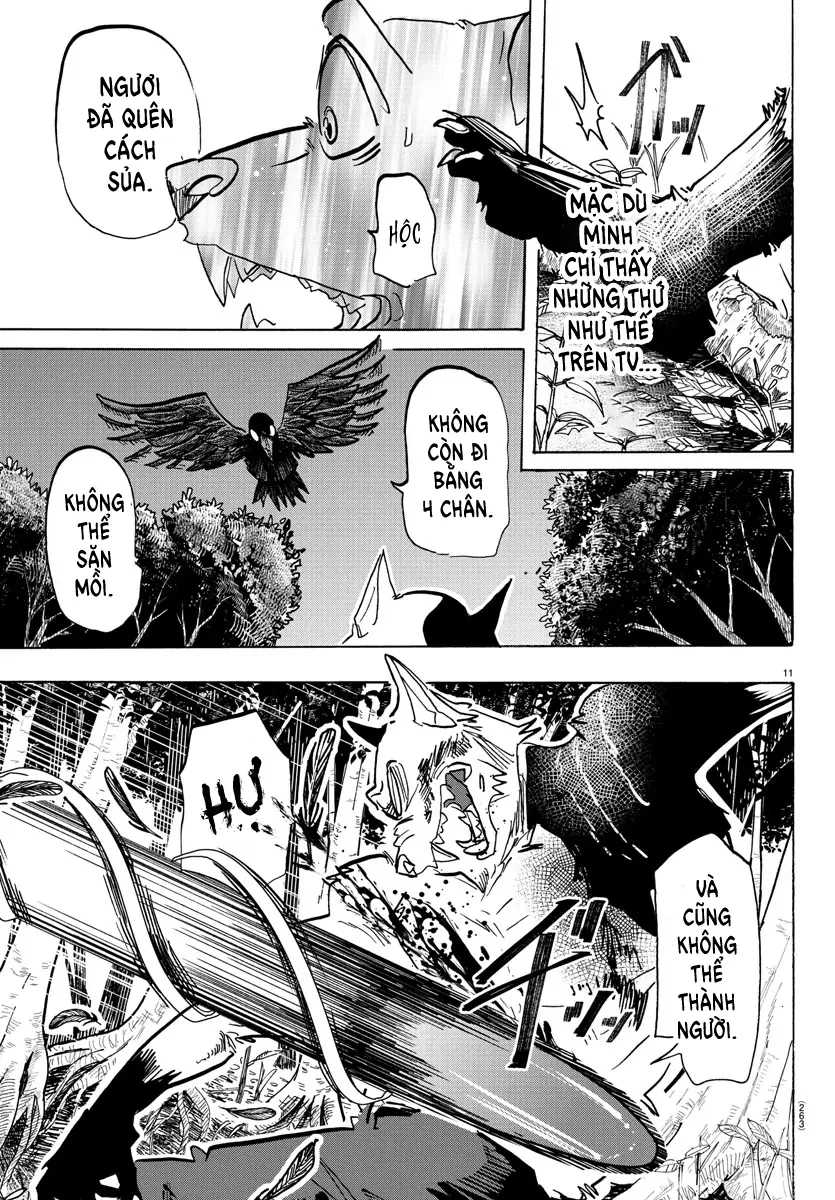Lý Trí Của Taika Chapter 15 - 10