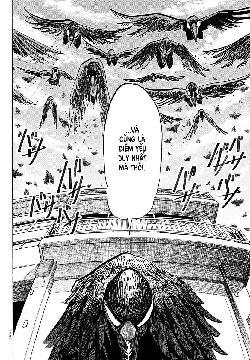 Lý Trí Của Taika Chapter 16 - 5