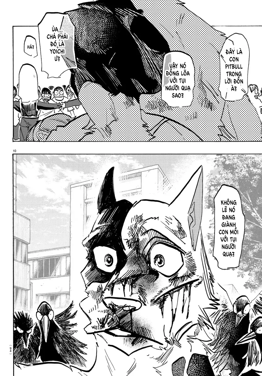 Lý Trí Của Taika Chapter 16 - 11