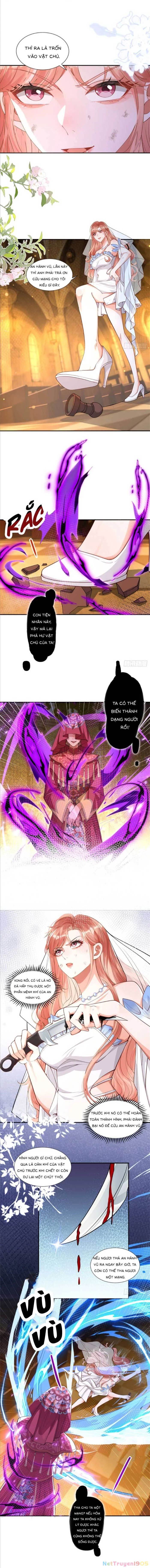 Cô Vợ Nhỏ Cứ Thích Phá Vỡ Hình Tượng Chapter 6 - 5
