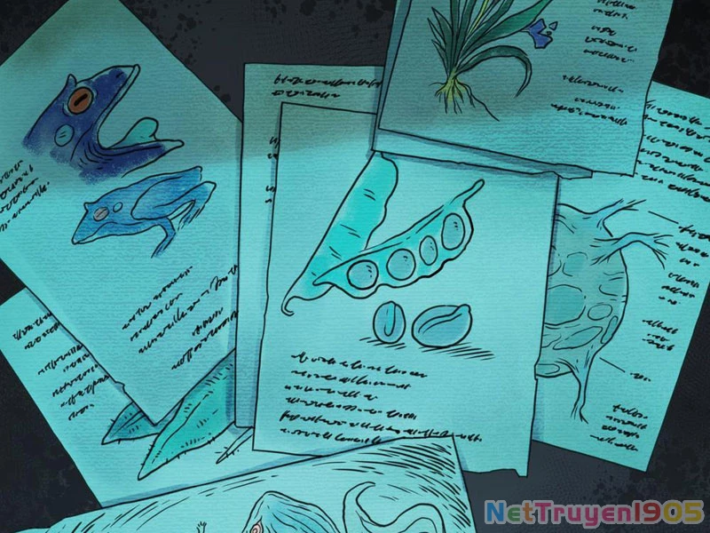 Hộp mãnh thú: Kỷ nguyên cơ giáp Chapter 17 - Trang 2