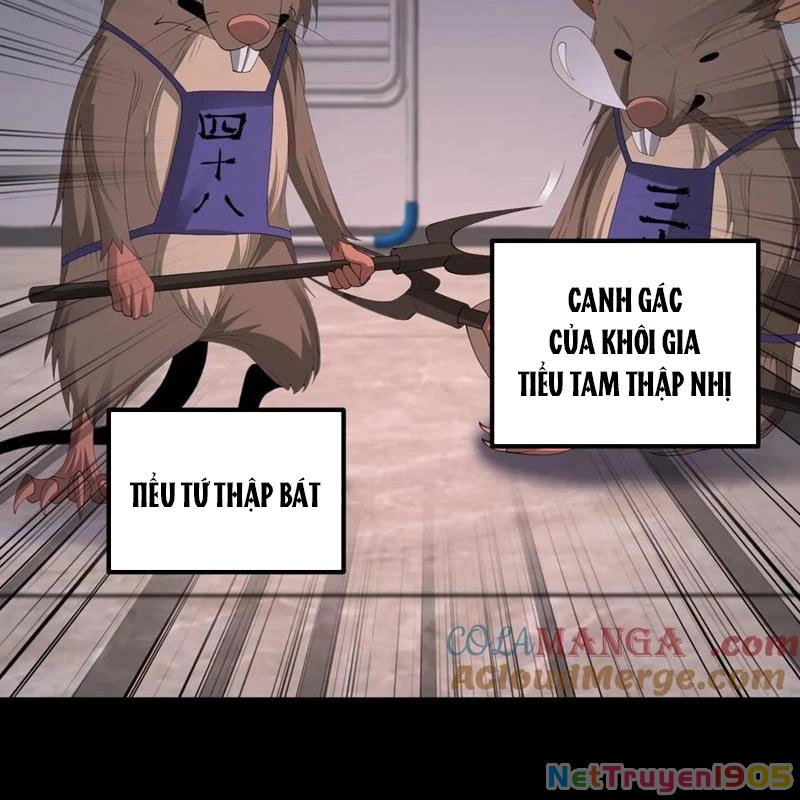 Ngày Tôi Sinh Ra, Bách Quỷ Dạ Hành, Tuyết Thi Hộ Đạo Chapter 707 - 7