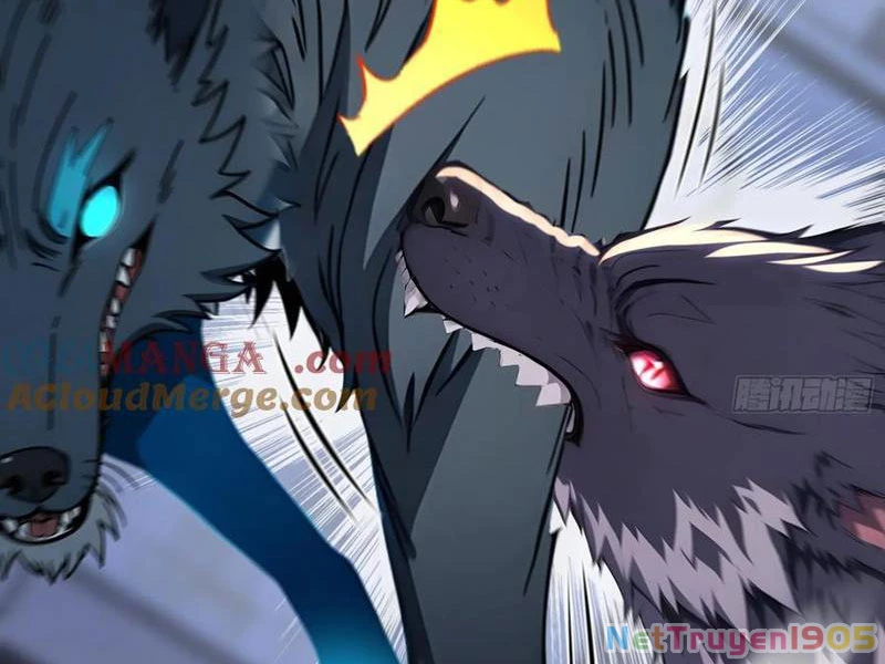 Đệ Nhất Ngự Thú Sư Chapter 61 - 18