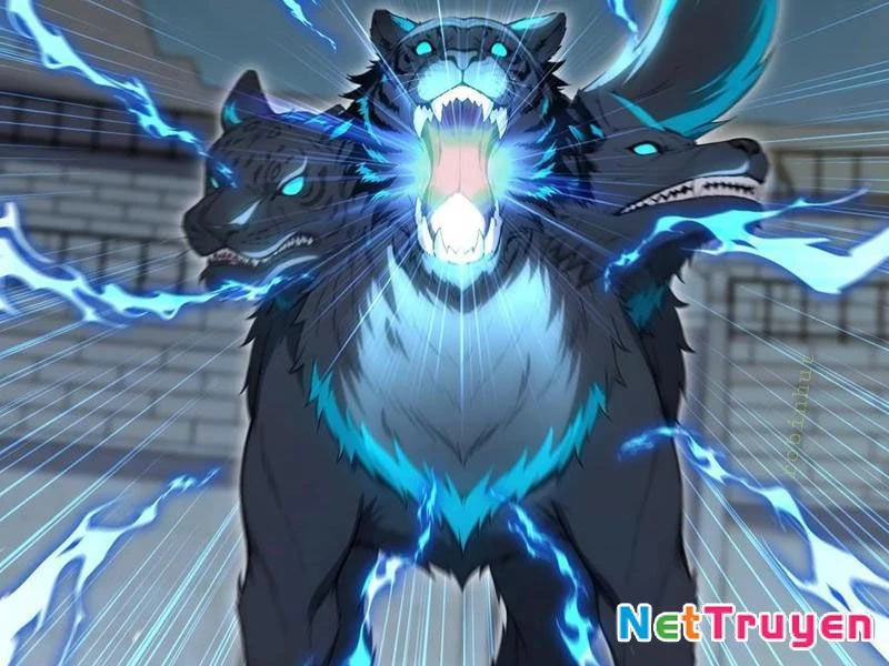 Đệ Nhất Ngự Thú Sư Chapter 61 - 46