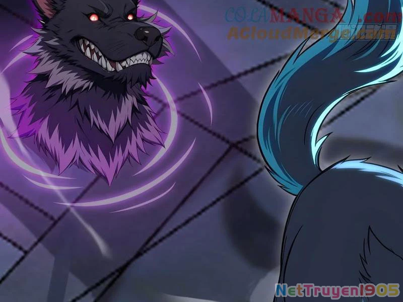 Đệ Nhất Ngự Thú Sư Chapter 61 - 59