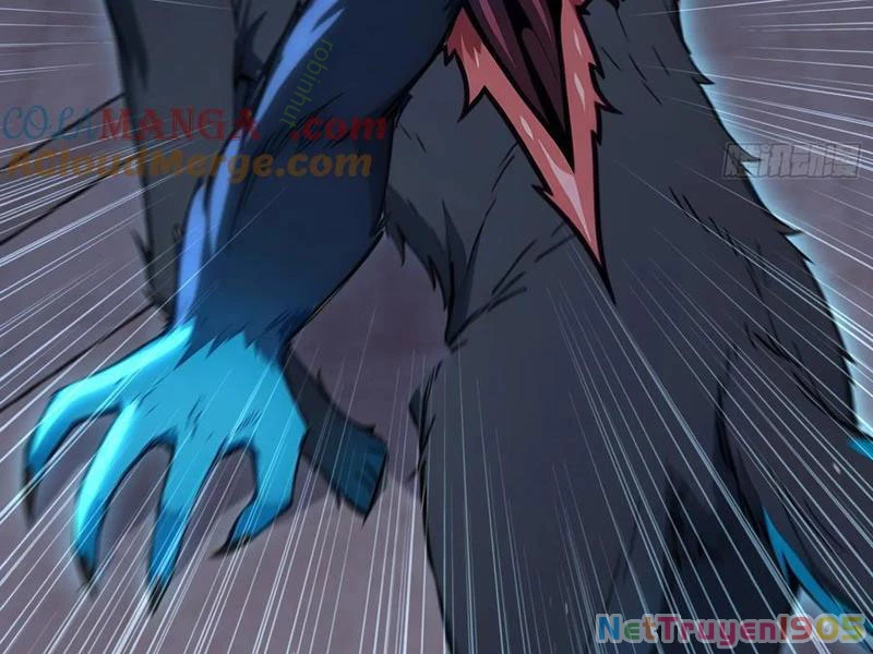 Đệ Nhất Ngự Thú Sư Chapter 61 - 93