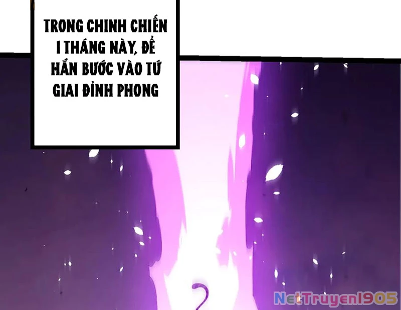Chuyển Sinh Thành Liễu Đột Biến Chapter 376 - 6