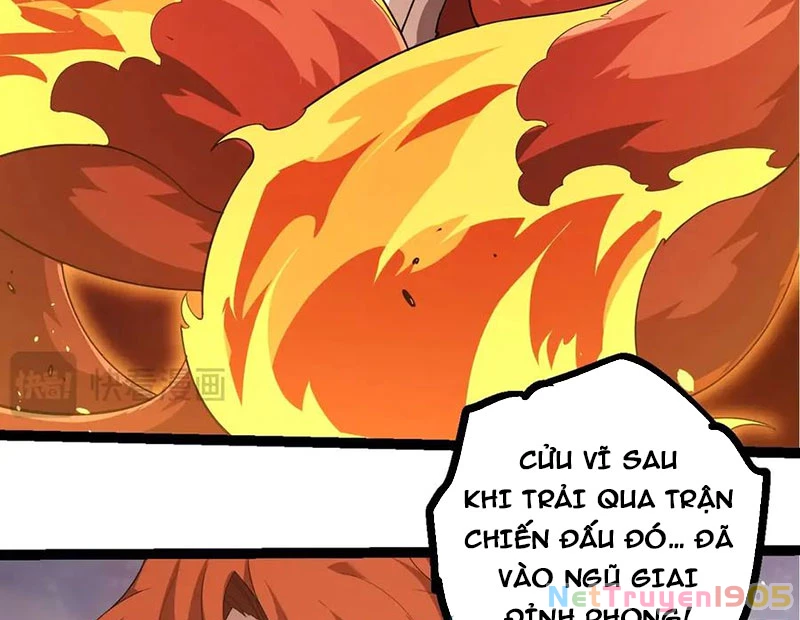 Chuyển Sinh Thành Liễu Đột Biến Chapter 376 - 29