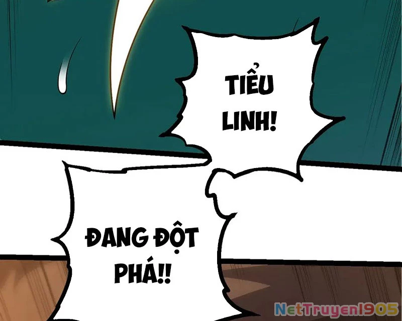 Chuyển Sinh Thành Liễu Đột Biến Chapter 376 - 46