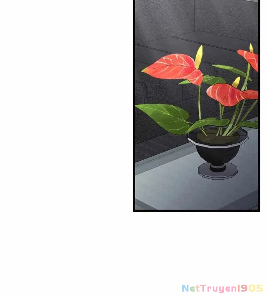 Cách Một Tử Linh Sư Cấp Thảm Họa Nghỉ Hưu Chapter 37 - 63