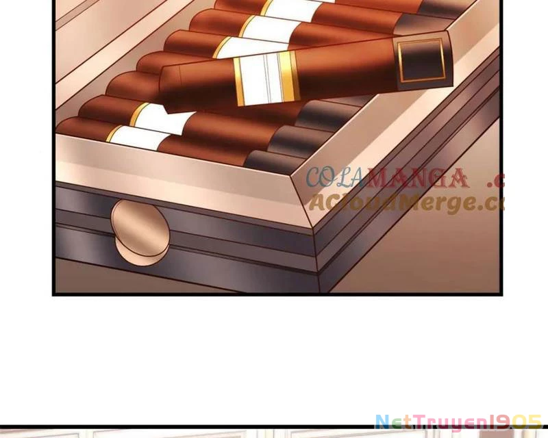 Trọng Sinh Không Làm Chạn Vương, Tôi Một Mình Nạp Game Thăng Cấp Chapter 227 - 56