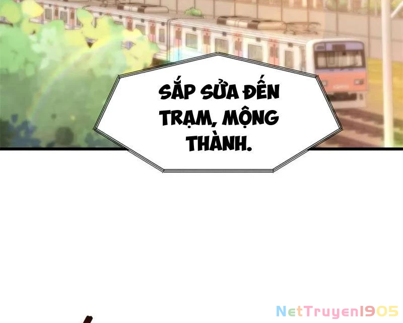 Trọng Sinh Không Làm Chạn Vương, Tôi Một Mình Nạp Game Thăng Cấp Chapter 227 - 74