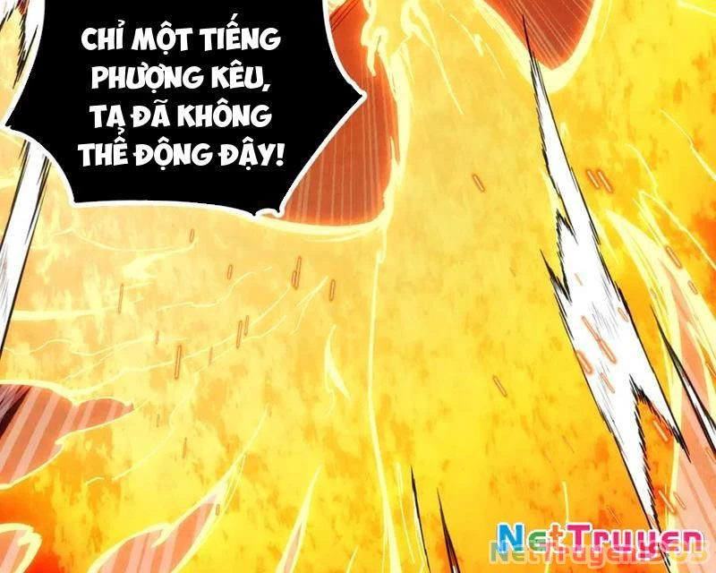 Mạt Thế: Nhân Hoàng Phiên Mời Chư Vị Nữ Đồ Đệ Nhập Tọa Chapter 14 - 46