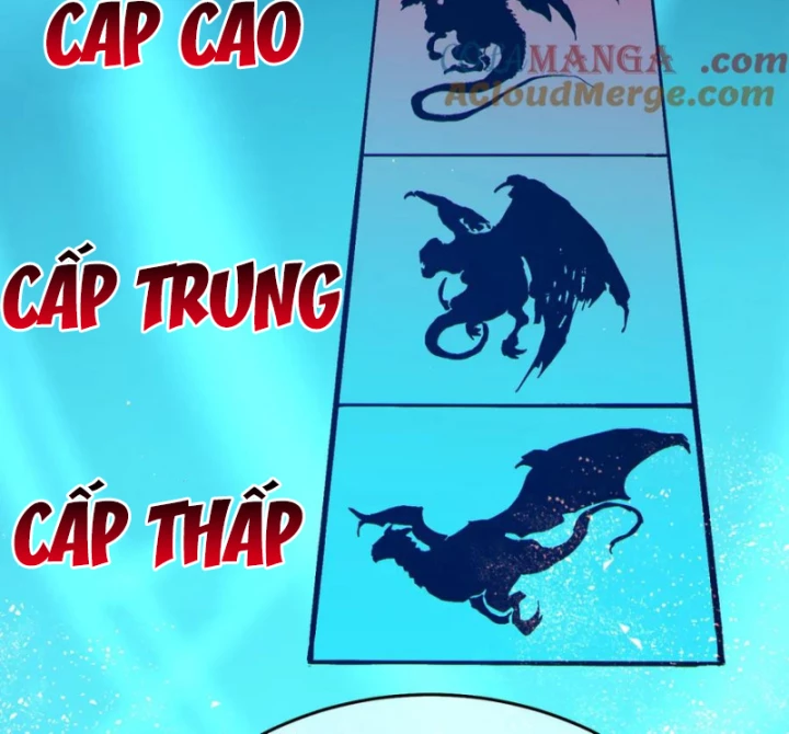 Vô Địch Bị Động Tạo Ra Tấn Sát Thương Chapter 84 - 61