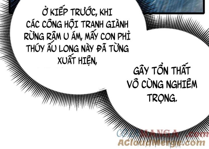 Vô Địch Bị Động Tạo Ra Tấn Sát Thương Chapter 84 - 69