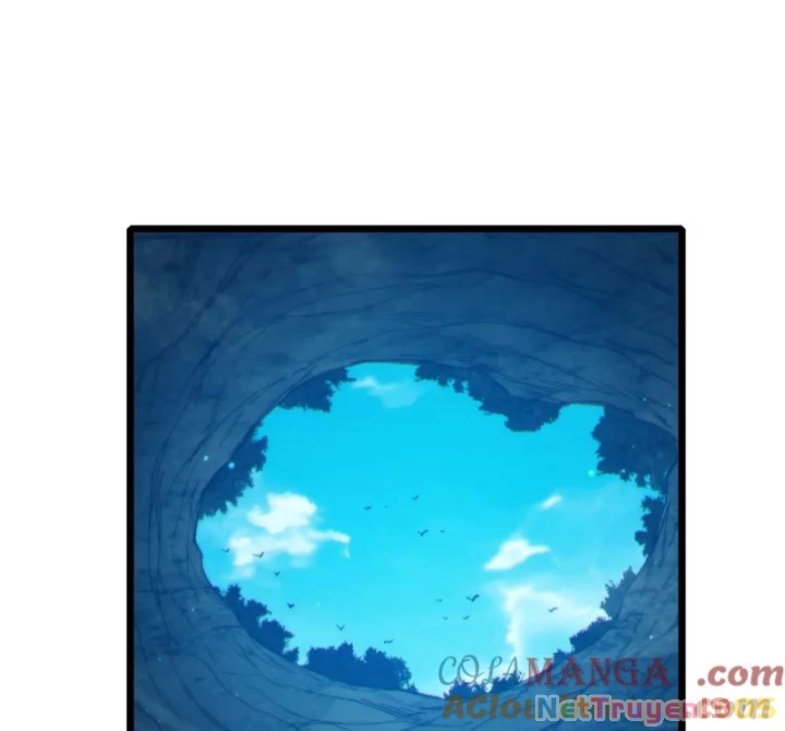 Vô Địch Bị Động Tạo Ra Tấn Sát Thương Chapter 84 - 131