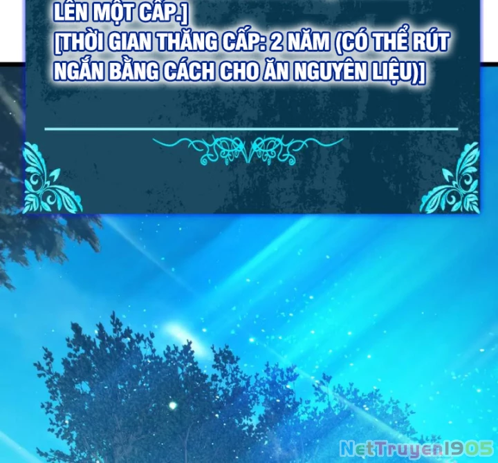 Vô Địch Bị Động Tạo Ra Tấn Sát Thương Chapter 87 - 20