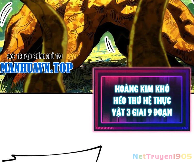 Toàn Cầu Ngự Thú: Ta có thế thấy lộ tuyến tiến hóa Chapter 22 - 27