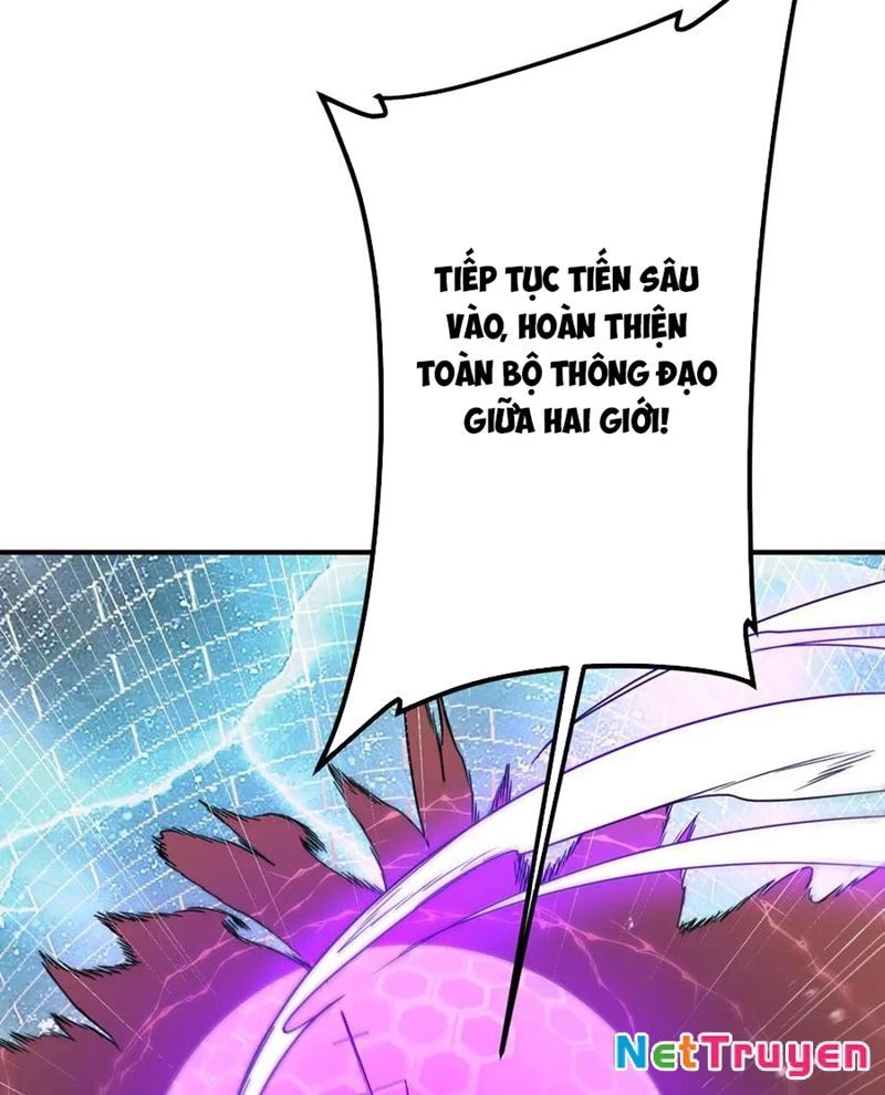 Bắt Đầu Với Trăm Vạn Minh Tệ Chapter 240 - 96