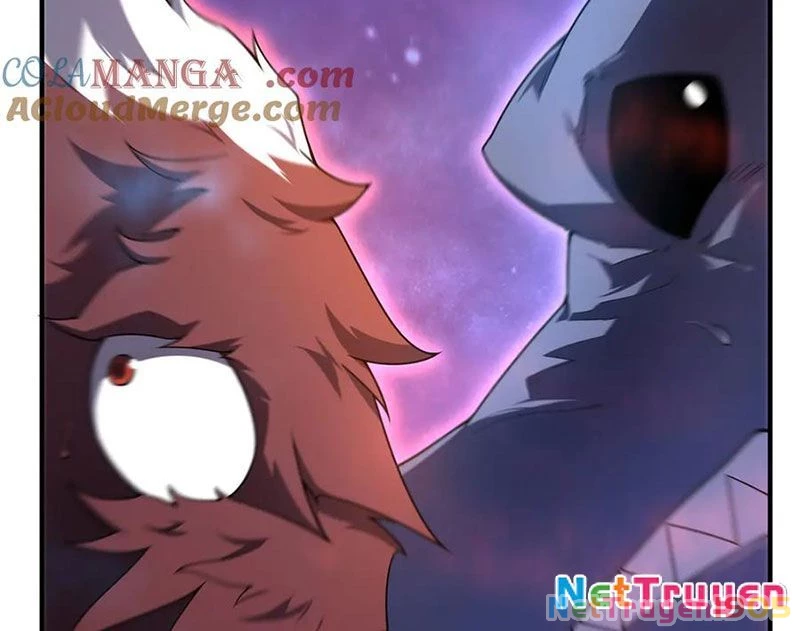 Thần Sủng Tiến Hóa Chapter 403 - 6