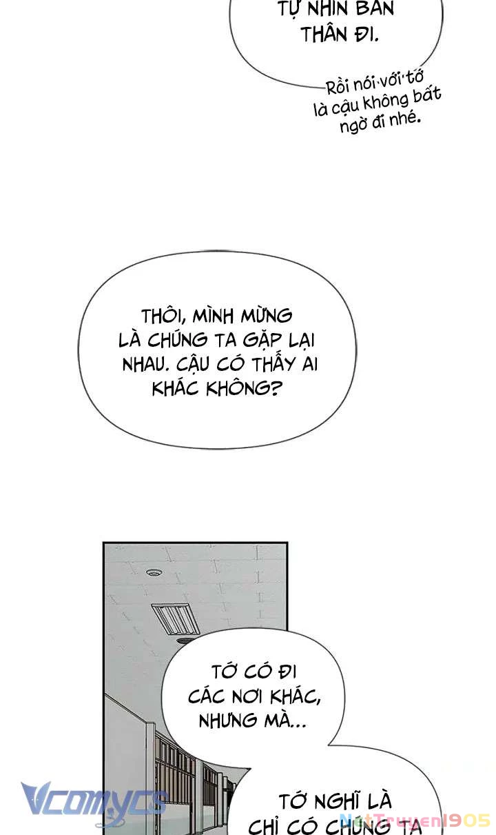 Điều Ước Sao Băng Chapter 47 - 17