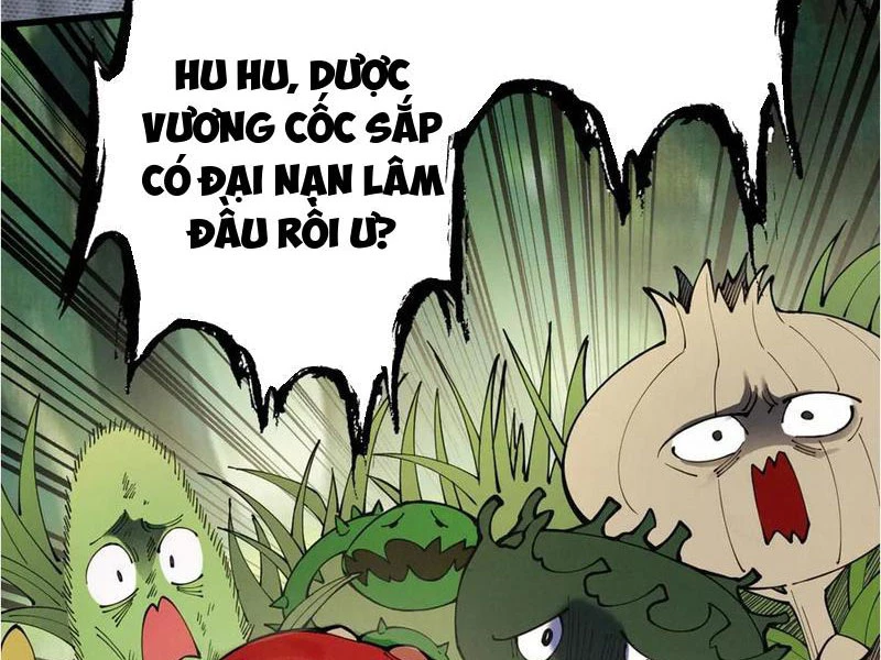 Gặp Mạnh Thì Mạnh, Ta Tu Vi Vô Thượng Hạn Chapter 47 - Trang 2