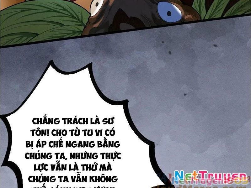 Gặp Mạnh Thì Mạnh, Ta Tu Vi Vô Thượng Hạn Chapter 47 - Trang 2