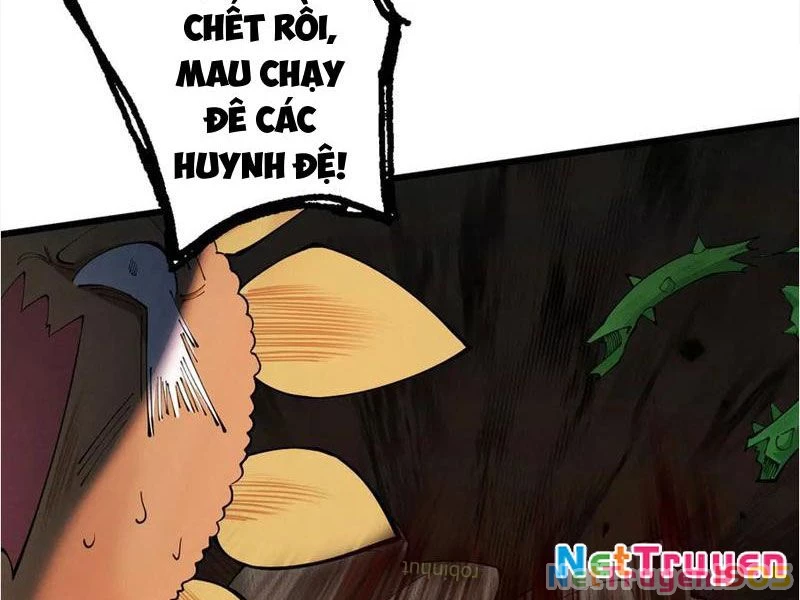 Gặp Mạnh Thì Mạnh, Ta Tu Vi Vô Thượng Hạn Chapter 47 - 181