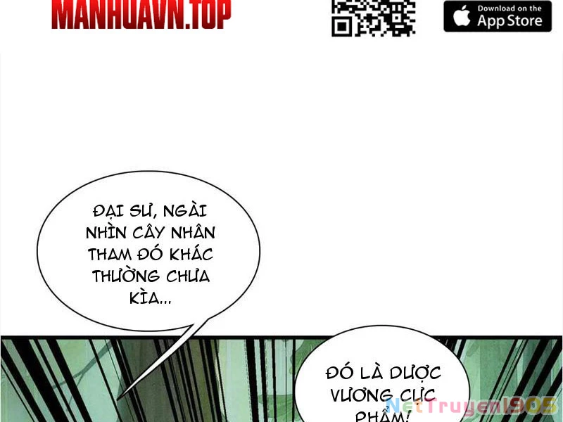 Gặp Mạnh Thì Mạnh, Ta Tu Vi Vô Thượng Hạn Chapter 47 - Trang 2