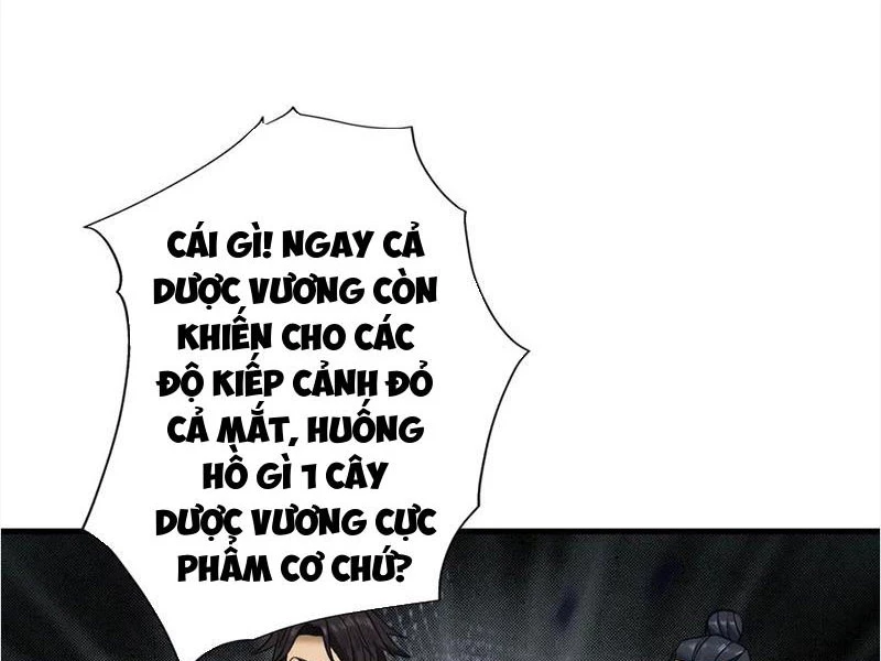 Gặp Mạnh Thì Mạnh, Ta Tu Vi Vô Thượng Hạn Chapter 47 - Trang 2